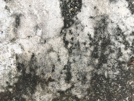 old cement wall textureの写真素材