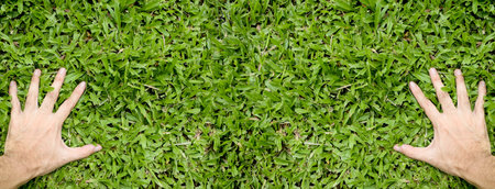 hand touching green grass field