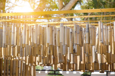 close up dry bamboo section is rowing on the frame outside the countryside farm.の写真素材