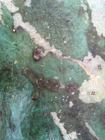 old fiber texture