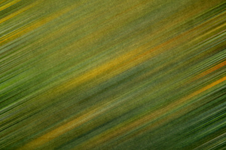 art grunge green color abstract pattern illustration background