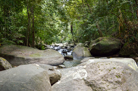 nature walkway in Khao Chamao , Rayong , Thailandの写真素材