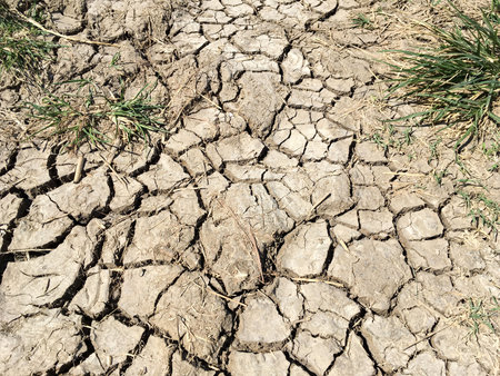 close up dry cracked soil texture in country gardenの写真素材
