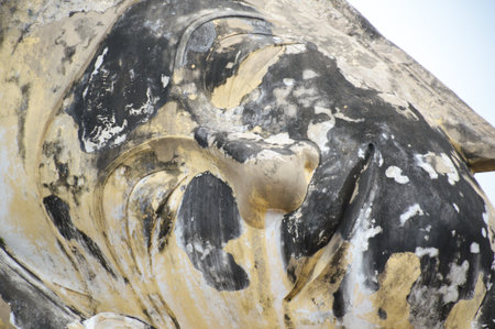 close up large old face buddha statue in public temple at Ayutthaya  Thailandの写真素材