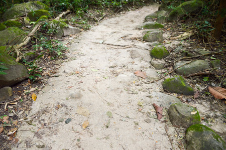 nature walkway in Khao Chamao , Rayong , Thailandの写真素材