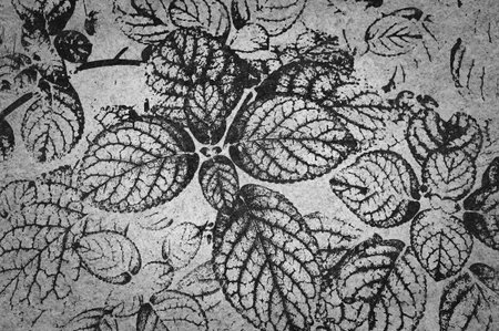 art grunge black abstract pattern illustration backgroundの写真素材