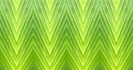 art grunge green abstract pattern illustration backgroundの写真素材