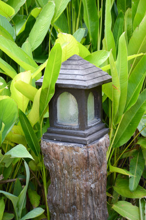 close up lamp in nature gardenの写真素材
