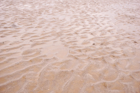 sand texture on the beachの写真素材