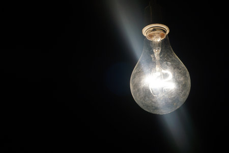 close up bulb in night garden