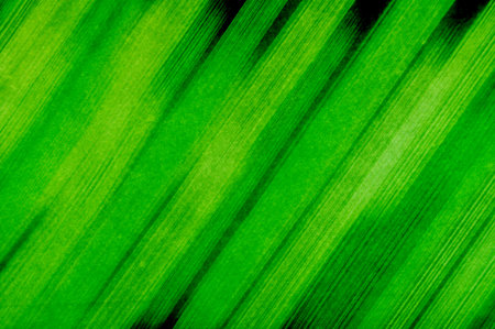 art grunge green abstract pattern illustration backgroundの写真素材