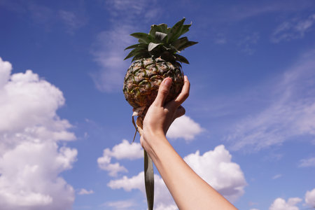 close up pineapple fruit on man handの写真素材