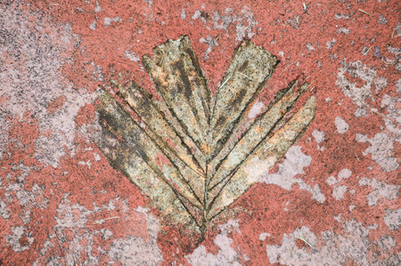 leaves track on cement floor texture