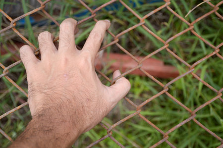 hand with metal fence, no freedomの写真素材
