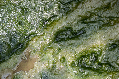 wet muddy textureの写真素材