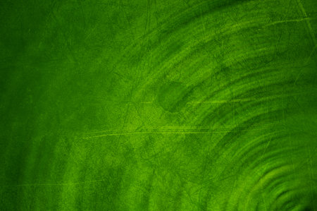 art grunge green color abstract pattern illustration backgroundの写真素材