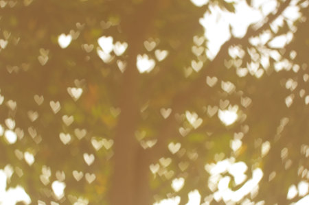 heart bokeh backgroundの写真素材