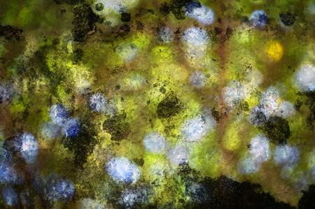 art grunge color abstract illustration background