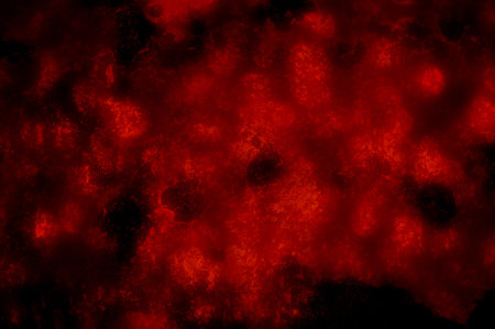art red black abstract illustration background