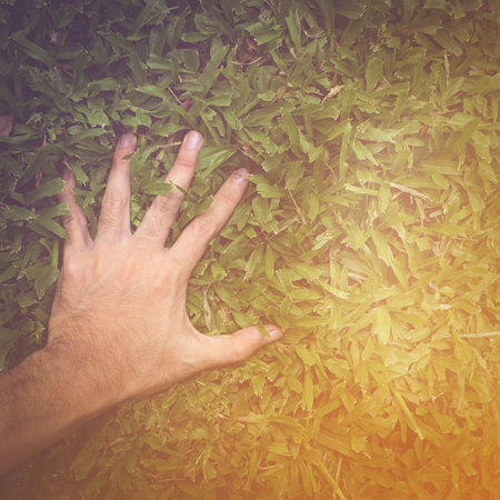 hand man on green grass - Instagram color effectの写真素材