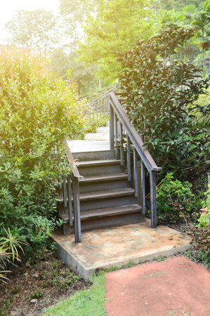 stair in nature garden at country Chiang Mai , Thailandの写真素材