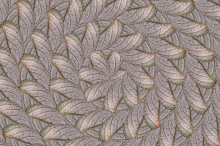 Hemigraphis alternata leaves pattern backgroundの写真素材
