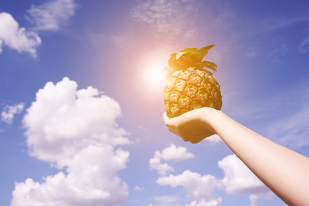 close up pineapple fruit on man handの写真素材