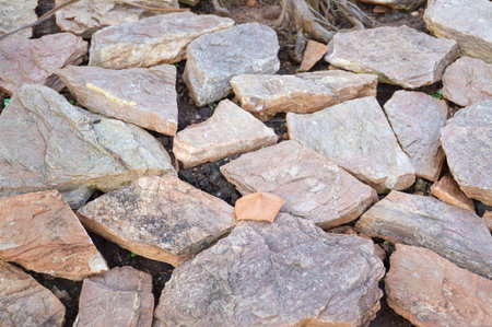 stone floor in nature garden