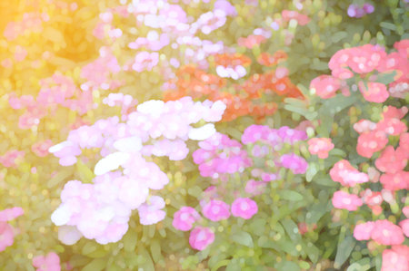 art colorful bokeh flower pattern illustration backgroundの写真素材