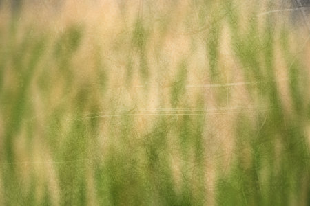 art grunge color abstract illustration backgroundの写真素材