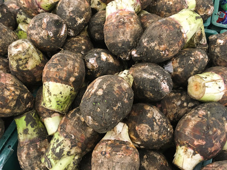 Taro in marketの写真素材