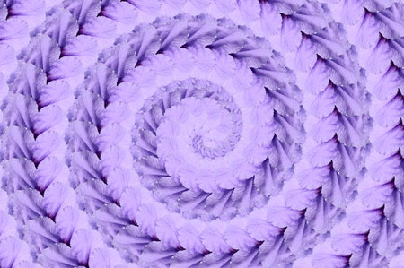 ruellia tuberosa flower spiral pattern backgroundの写真素材