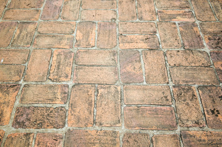 close up old cement brick floor texture in gardenの写真素材
