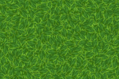 fresh green leaf pattern backgroundの写真素材
