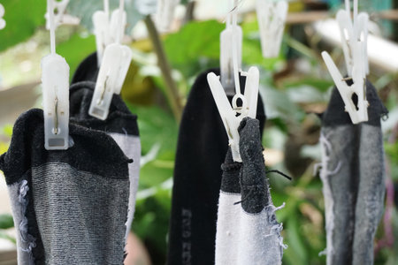 Close up socks dryer and plastic clip