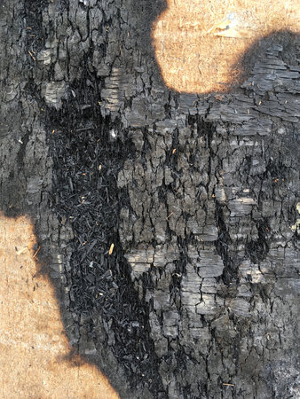 wood plank after burningの写真素材