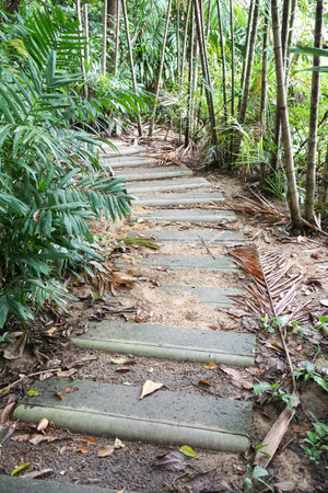 cement plate on green grass in nature garden