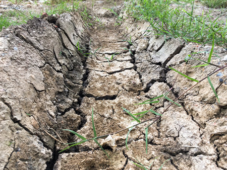 dry wheel track on dirt soil textureの写真素材