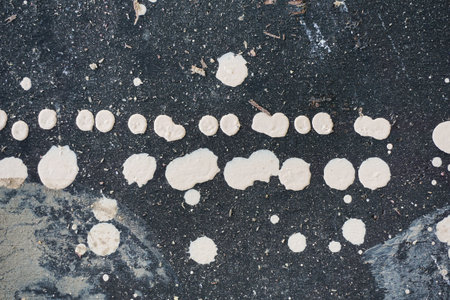 dirty black wood plank textureの写真素材