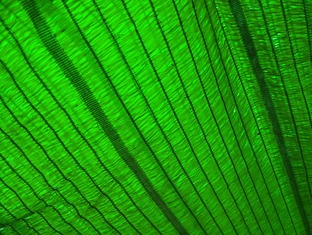 green shading net textureの写真素材