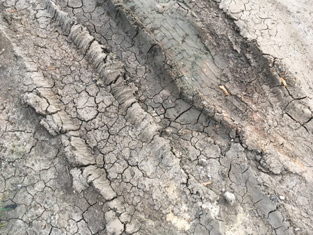Dry wheel track on dirt soil textureの写真素材