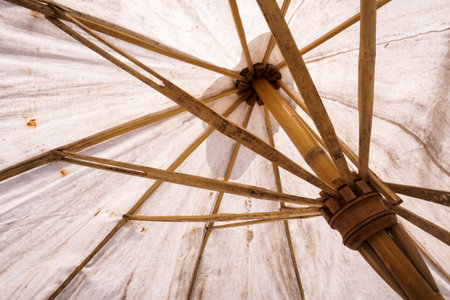 close up umbrella textureの写真素材