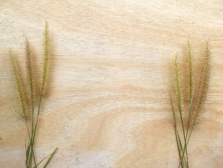 grass flower on wood floor texture