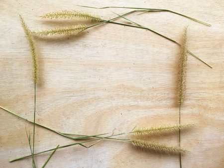 grass flower on wood floor texture