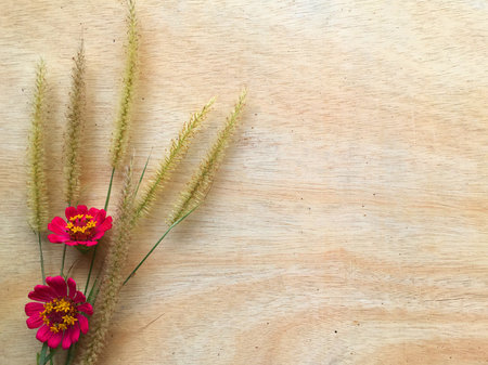 grass flower on wood floor textureの写真素材
