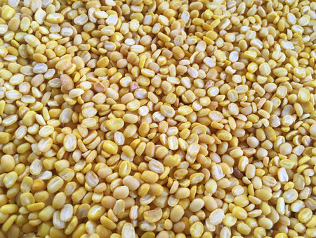 yellow bean seeds textureの写真素材