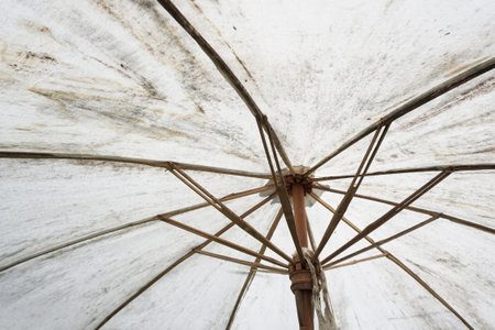 close up umbrella textureの写真素材