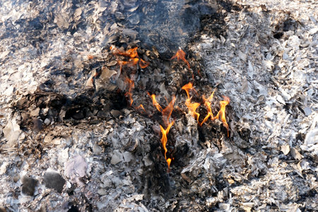 burned ash from fire