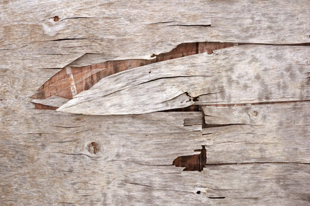 close up old broken wood plank texture