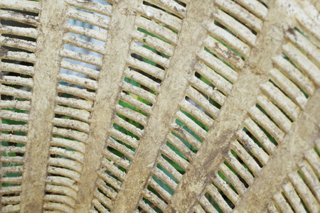 old plastic basketの写真素材